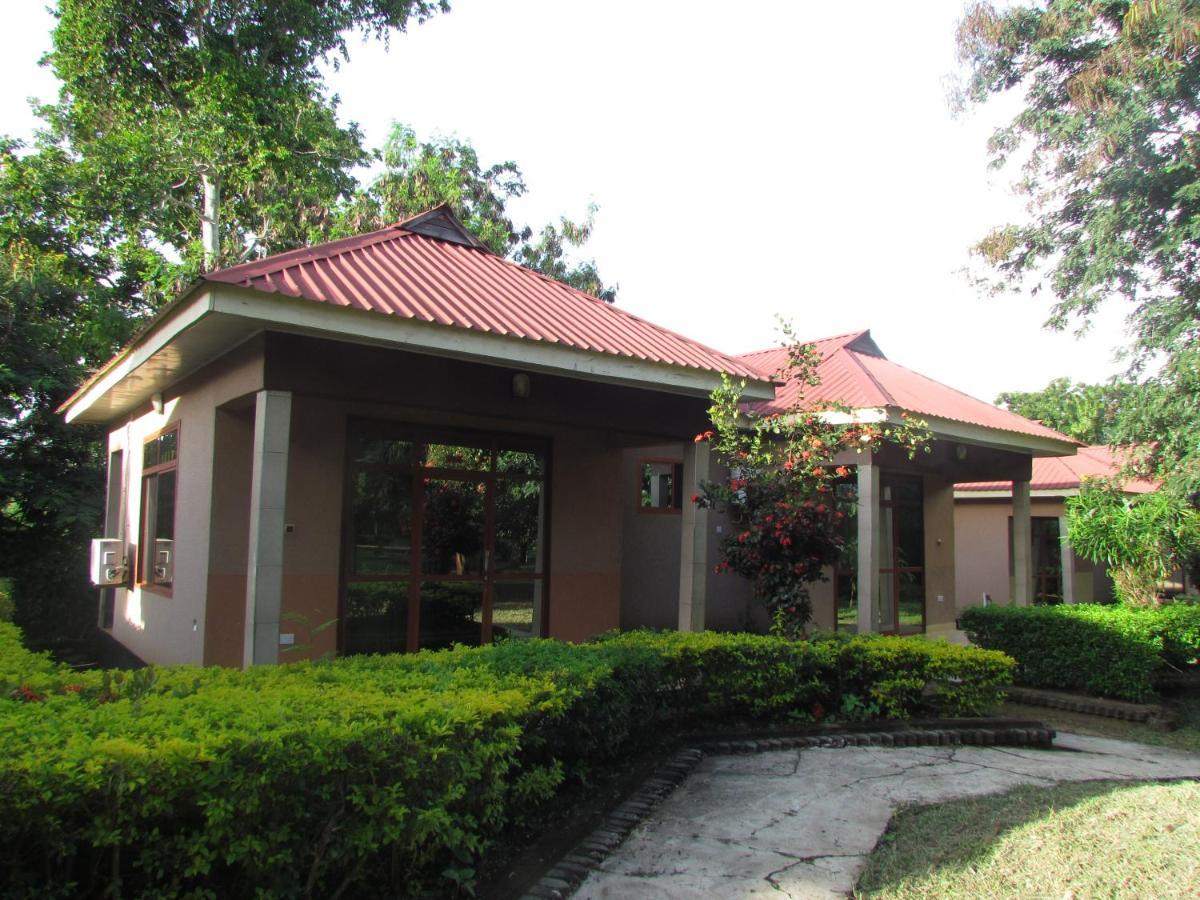 Mikumi Resort Hotel Extérieur photo